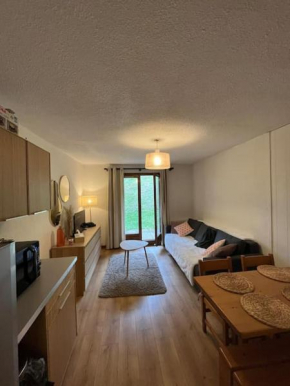 Studio au pied des pistes